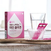 애플트리김약사네 바로느껴지는 미인 콜라겐 피쉬콜라겐 프랑스산콜라겐 히알루론산 알로에겔 분말 14포, 1박스