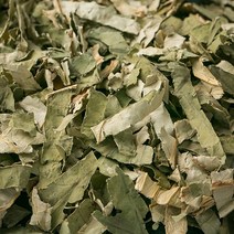 파워푸드 국산 하엽(연잎) 1200g 연꽃 연자 연밥 연차 말린 건조 건 차 한방 약초 약재, 12YI_국산하엽(연잎)600gX2