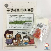 사이언스존 [꿈과-구강세포 DNA추출(유전과 진화) 1인용] 과학실험키트 학습교구세트