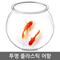 팜파크 투명 플라스틱 어항 (중) 수족관 미니어항