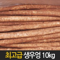 우엉 국산 수입 특품 생우엉 10kg 4kg내외, 1Box, 1번-중국산 생우엉 10kg
