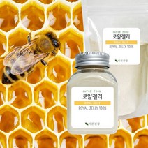 바른건강 여왕벌을 키우는 특별식 로얄제리 로얄젤리분말 가루 100%, 100g, 3개