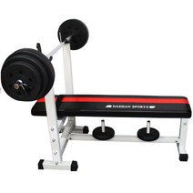 대한스포츠 튼튼벤치프레스 A형 세라믹 20~70kg 세트, 20kg
