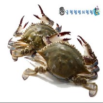 꽃게 신진도 활꽃게 2~3인분 당일조업 아침발송, 1개, 3kg(1개)