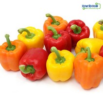 (인빌푸드)두여마을 파프리카(가정용) 2kg, 단품, 1개