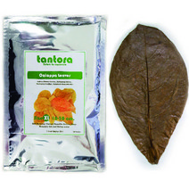 탄토라 알몬드잎 XL (10장), 단품, 단품
