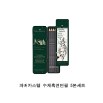 파버카스텔 수채흑연연필 5본세트 미술연필, 혼합사이즈, 1세트