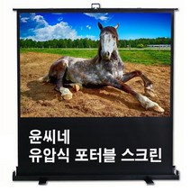 윤씨네스크린 유압식포터블 스크린 매트 100인치