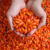 친환경팔도 [생산자직송] 청양 명덕재님의 건구기자 200g, 단품