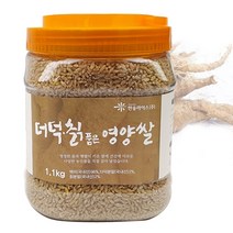 올댓리빙 기능성 컬러쌀 찰비 영양쌀 강황쌀 1.1kg, 1개