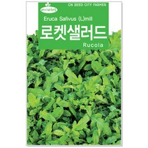 청농 베이비 로켓샐러드씨앗 3000립 베이비채소씨앗, 1개