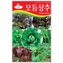 모듬상추씨앗 3000립 채소씨앗, 1개
