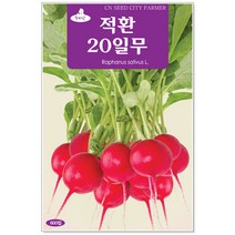 무 적환20일무씨앗 600립 무씨앗, 1개