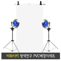 이와사키 청색전구 텅스텐조명 2조세트 (500W) PVC배경지포함 /사진용조명 사진조명세트 사진조명기 사진촬영조명세트 제품촬영도구 촬