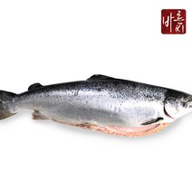 [HACCP인증]바른씨 노르웨이 생연어회 반마리 2kg 필렛 (원물6-7kg), 02_연어 반마리 2kg필렛, 02_연어 반마리 2kg필렛