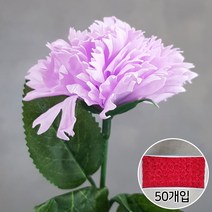 블랙앤화이트 비누꽃 카네이션 50p + 잎사귀꽃대, 연보라