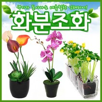 호가 화분조화 호접란 장미 인테리어 조화 화분 장식, 화분조화 호접란(소형-라이트 마젠타)(-2700원)