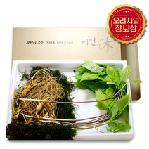 퇴촌 이석철 7-8년근 산양산삼 장뇌삼, 1세트, 5뿌리