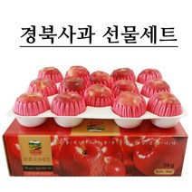 [실속선물세트] 경북 햇사과 5kg 선물세트 실속형, 1박스, 02.사과 선물세트 5kg 고급형 (14~16과내외)