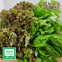 하늘농부 친환경 적상추 청상추 골라담기 상추 150g, 1봉, 적상추 150g