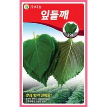 갑조네 잎줄기채소 씨앗 모음, 잎들깨(씨앗), 1개