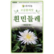 갑조네 민속특수 씨앗 모음, 흰민들레(씨앗), 1개