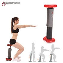 스쿼트머신 스쿼트 운동기구/헬스기구/다리 하체운동, 단품