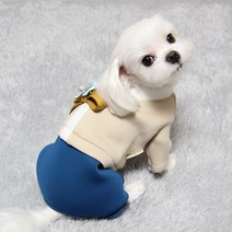 도기코디 네오플렌 강아지한복, 올인원