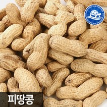 장수왕 피땅콩 1kg 정월대보름 부럼 견과 중부시장도매 견과류, 1봉