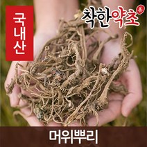 국내산 머위뿌리 200g, 1개