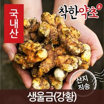 국내산 생울금(강황) 500g, 1개