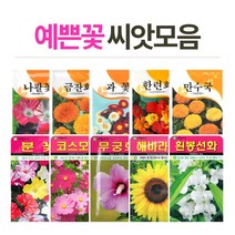화분월드 고급 꽃씨, (고급꽃씨)수세미25립