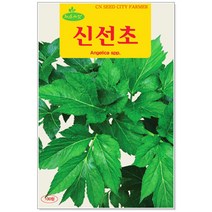 청농종묘 적환20일무 씨앗 600립 - 붉은무 빨간무 래디시 씨, 21_신선초(100립 )