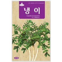 청농종묘 적환20일무 씨앗 600립 - 붉은무 빨간무 래디시 씨, 18_냉이(5000립)
