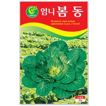 청농종묘 적환20일무 씨앗 600립 - 붉은무 빨간무 래디시 씨, 11_엄니봄동(20g)