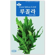 청농종묘 적환20일무 씨앗 600립 - 붉은무 빨간무 래디시 씨, 12_루꼴라(3000립)