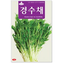 청농종묘 수세미 씨앗 30립 수세미씨 수세미씨앗 씨, 25_경수채(15g)
