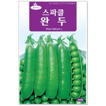 청농종묘 참나물 씨앗 900립 참나물씨앗 참나물씨 취나물 씨, 29_스파클완두(200립)