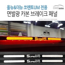 DMZKOREA 올뉴쏘렌토&더뉴쏘렌토 카본st 브레이크 마스크 패널, 올뉴쏘렌토