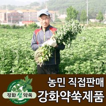 강화도토박이 강화약쑥 강화사자발쑥 강화사자발약쑥 쑥즙, 1봉, 10. 강화약쑥 건식 좌훈쑥 500g