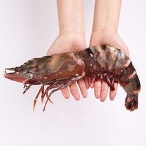 바른씨 프리미엄 킹타이거새우 대하, 4마리, 230g이상, 4마리
