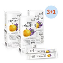 프로엠 [3+1] 유기농 진한 배도라지액 스틱 (10ml x 10포*4), 1개, 100ml