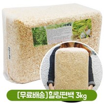 단독무료배송 힐링 편백나무베딩 2.5kg, 단품