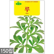 세이지 씨앗 50립 / 허브씨앗 세이지씨앗 허브씨 허브 세이지씨 샐비어 씨, 05_허브_루(150립)