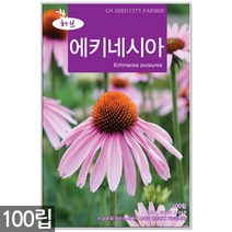 라벤더 씨앗 150립 / 허브씨앗 라벤다씨앗 허브씨 라벤다 허브 꽃씨앗, 10_허브_에키네시아(100립)