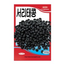 경신종묘 콩씨앗 서리태콩 600g