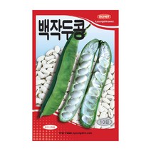 경신종묘 콩씨앗 백작두콩 10립, 1개