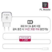 FL Mobile 갤럭시진 가정용 5핀 고속충전기