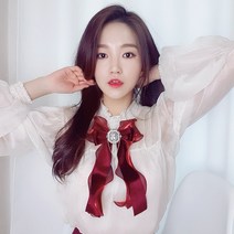 다이노(DAINO) (스타협찬)러플 벨벳 리본 브로치
