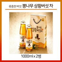 류충현 약용버섯 뽕나무 상황버섯 차 몸에좋은 버섯 엑기스 국내산 선물 세트, 2병, 1000ml